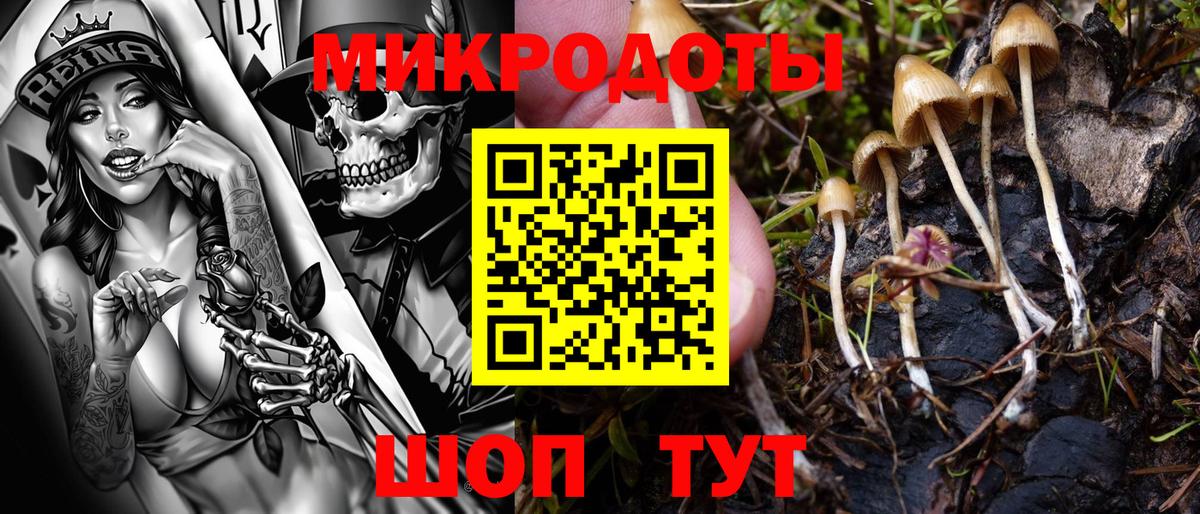 Псилоцибиновые грибы Cubensis  купить наркотик  Киреевск  Вход с VPN 